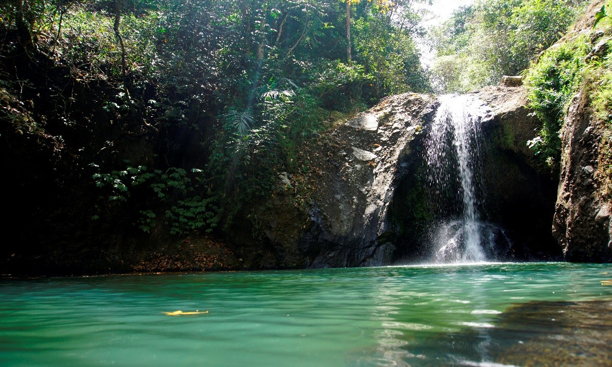 Tiwu Tara