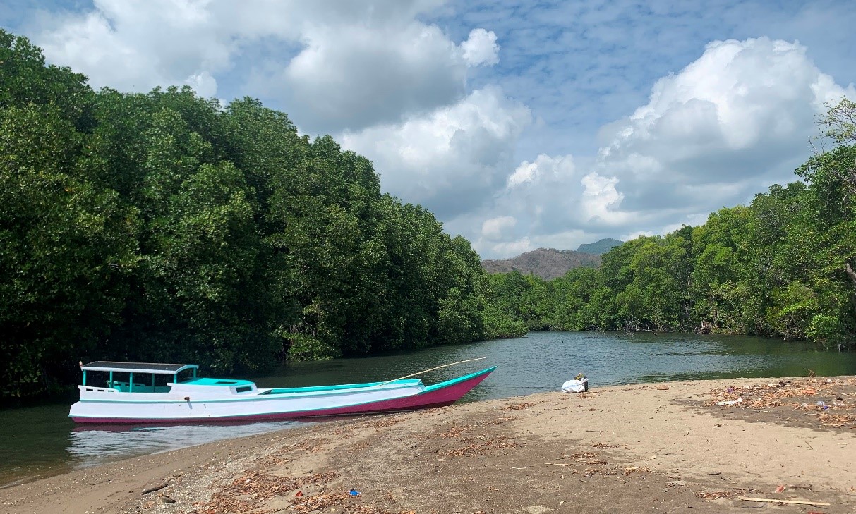 Hutan Mangrove Lemarang ( Lemarang Mangrove Forest )